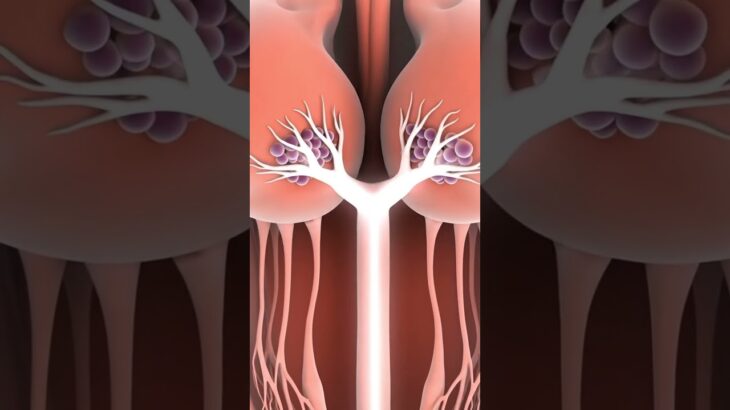 #aiforbeginners #web3 #earneasy #aiapps #chatgpt #aiwebsites #aiincome #crypto #digitalbrain #nft