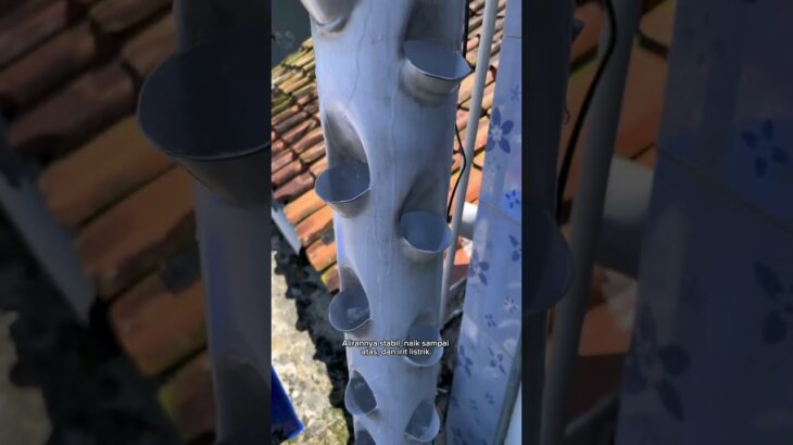 cara pengairan hidroponik tower #berkebun #nft #dft #hidroponik #fyp #diy