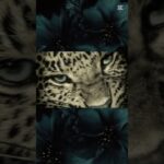 #cat #cute #midjourney #warriors #love #aiart #nft #food #aiartwork ъ