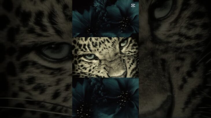 #cat #cute #midjourney #warriors #love #aiart #nft #food #aiartwork ъ