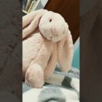 #funny #nft #procreate #cat did you bring the…