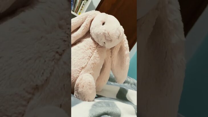 #funny #nft #procreate #cat did you bring the…