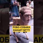 Самые дорогие какашки в мире 💎#nft  #nftart  #digitalart #blockchain  #web3 #искусство #shorts