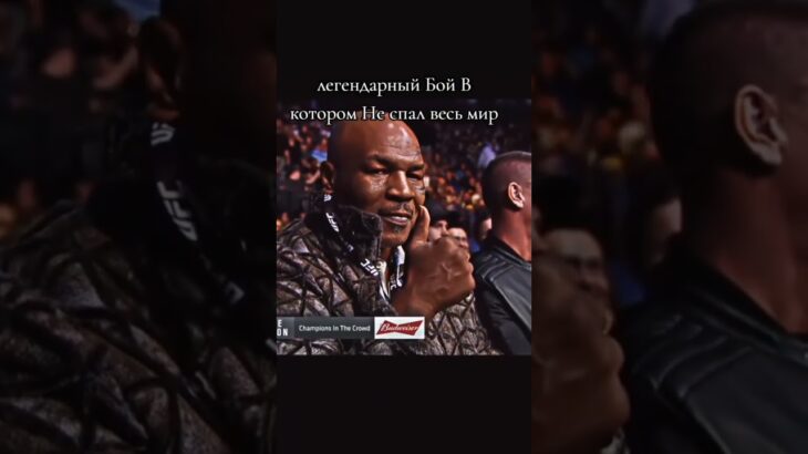 rayan_gifts бой на нфт #telegram #shorts #мем #врек #memes #meme #nft #rolls #fyp #fypシ #ufc #борьба