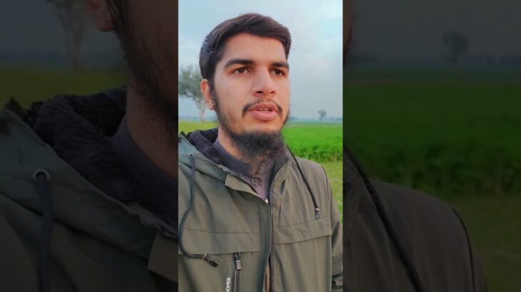 #shorts #trending #fyp #foryou #viralvideo #quran #tilawat #nft #treasurenft #earn