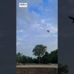 #shorts #trending #fyp #foryou #viralvideo #quran #tilawat #nft #treasurenft #earn