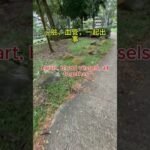 糖尿病最可怕的不是血糖高。#uncle dockong#独刚#保健知识#糖尿病#dockong