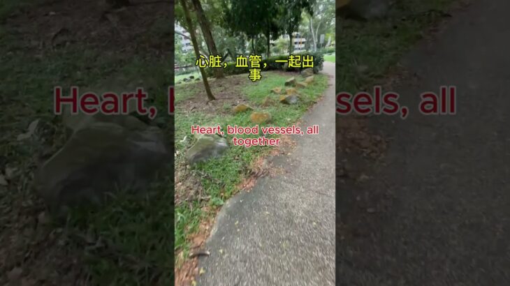 糖尿病最可怕的不是血糖高。#uncle dockong#独刚#保健知识#糖尿病#dockong