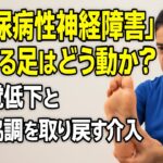 “糖尿病性神経障害”のある足はどう動かす？ ― 感覚低下と筋協調を取り戻す介入