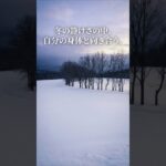 静かに進行する恐怖｜高血糖が血管を傷つけるメカニズム