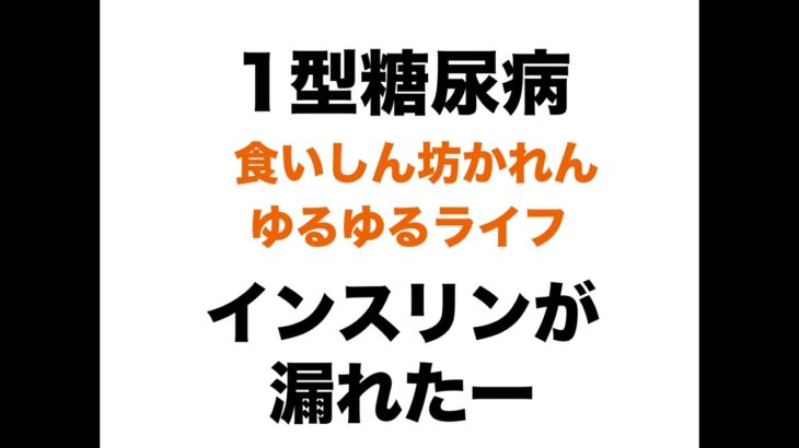【１型糖尿病】ゆるゆるトーク インスリンが漏れた～