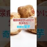 糖尿病がきっかけで生まれた奇跡の菊芋 #グルメ #トリビア #料理