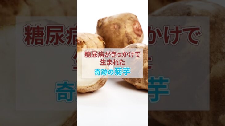 糖尿病がきっかけで生まれた奇跡の菊芋 #グルメ #トリビア #料理