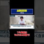 【血糖値実験】パルム！糖尿病専門ドクターが血糖値の変化を徹底検証！