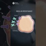 【エンドゥ】糖尿病治療【ショート】#糖尿病 #製 #皆保険