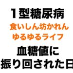 【１型糖尿病】血糖値に振り回された１日