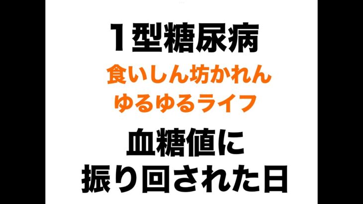 【１型糖尿病】血糖値に振り回された１日