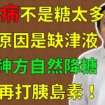 倪海廈：糖尿病不是糖太多，根本原因是缺津液！中醫神方自然降糖，不用再打胰島素！#倪海廈#倪師#養生 #中醫 #中醫調理#中醫食療 #中醫養生 #健康養生