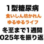 【１型糖尿病】冬至まで１週間 ２０２５年を振り返る