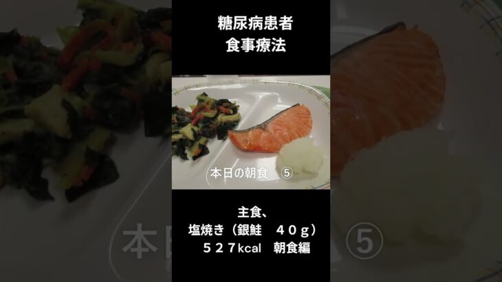 糖尿病患者の食事療法、主食、銀鮭４０ｇ
