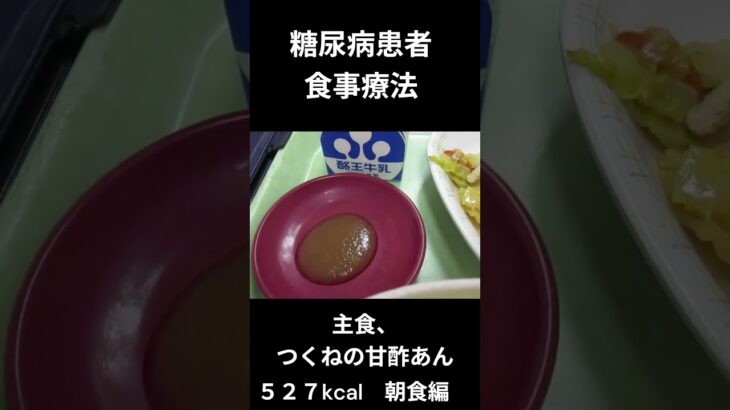 糖尿病患者の食事療法　主食、つくねの甘酢あん