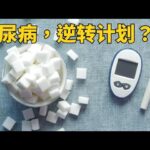 血糖高，害怕了？等等——不吃药—逆转糖尿病前期