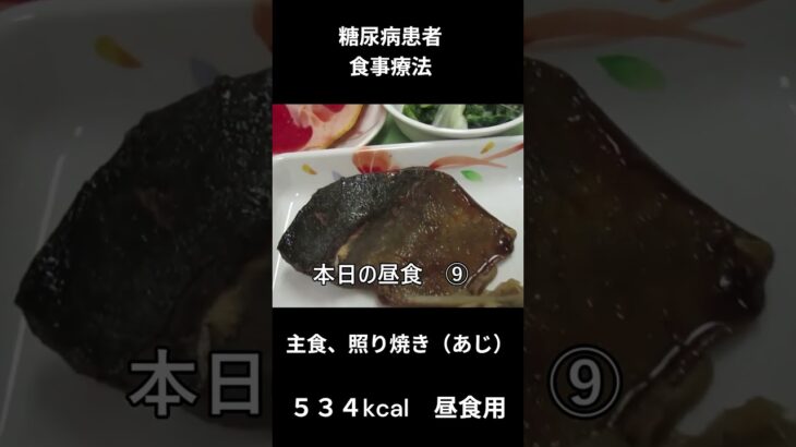 糖尿病患者の食事療　主食、照り焼き（あじ）