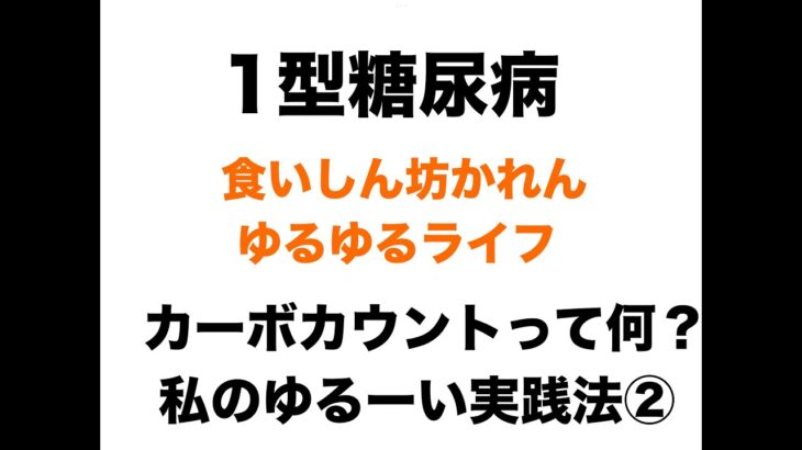 【１型糖尿病】カーボカウントって何？私のゆる～い実践法②