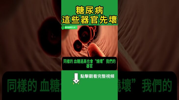 不是只有血糖高而已！專家警告：糖尿病真正傷的是這些器官！【高年級實習生來了】