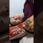 もう一つの持病、糖尿病について。ショート編