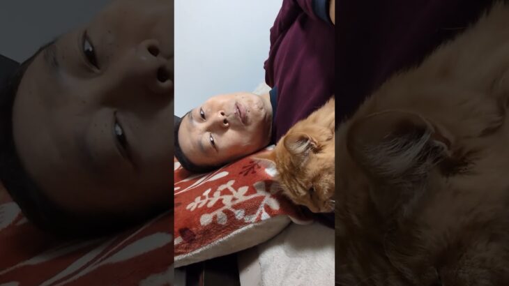 もう一つの持病、糖尿病について。ショート編