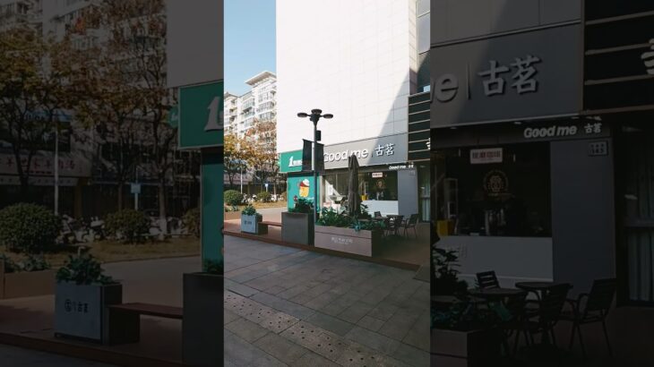 糖尿病的催生媒介