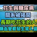 花生與糖尿病的關系被揭開！長期吃花生的人，血糖血管都發生驚人變化【養真客】#糖尿病 #花生 #血糖 #心血管 #健康養生 #晚年生活 #養生知識 #生活經驗