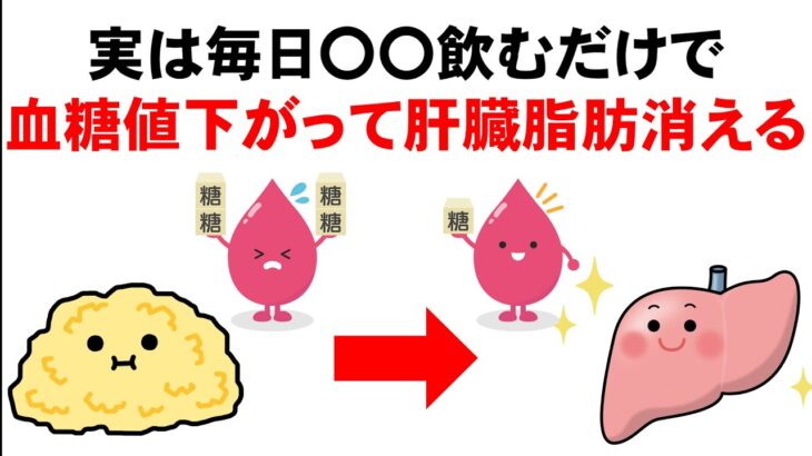 【目的に合わせた飲み方・種類】糖尿病改善し痩せて、肝臓の機能が蘇る飲み物