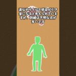 【糖尿病】そもそもなぜ糖尿病になるの？#インスリン#血糖値#肥満