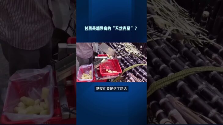甘蔗是糖尿病的天然克星？#健康#养生 #科普  #中國醫 #百科密码