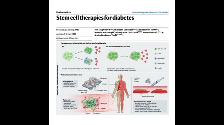 049-糖尿病干细胞疗法