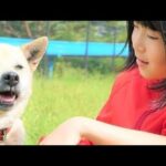 飼い犬が機械より早く察知！「1型糖尿病」の女の子を救う「糖尿病アラート犬」少女と共に生きる命のパートナー（驚きの知能を持つ犬）