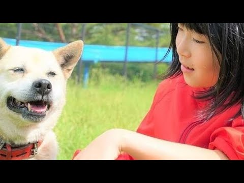 飼い犬が機械より早く察知！「1型糖尿病」の女の子を救う「糖尿病アラート犬」少女と共に生きる命のパートナー（驚きの知能を持つ犬）