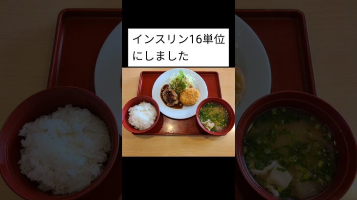 1型糖尿病のジョイフルランチ　インスリン16単位