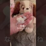 【1型糖尿病】ゴミ袋🗑️