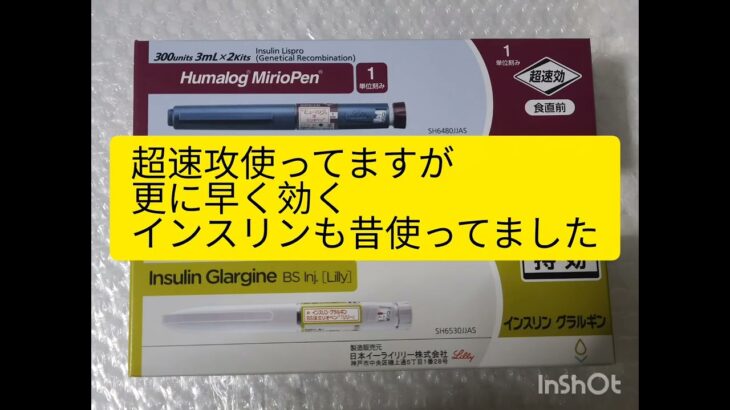 1型糖尿病が普段使ってる血糖測定器やインスリンの紹介
