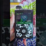 【ネイル編】1型糖尿病の日常 #podcast #1型糖尿病 #日常vlog #youtubeshorts