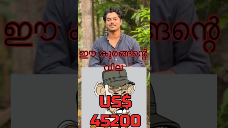 കുരങ്ങന്റെ പടത്തിന് 100 കോടി രൂപയോ? 🐵💰 | What is NFT? Explained in Malayalam #shorts