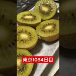 キウイ🥝食べた糖尿病1054日目