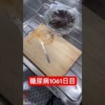 わかさぎの天ぷら作って食べた糖尿病全食事記録1061日目 #vlog #food