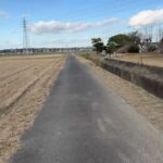 1型糖尿病ランナーの平日トレーニング【12.5km】