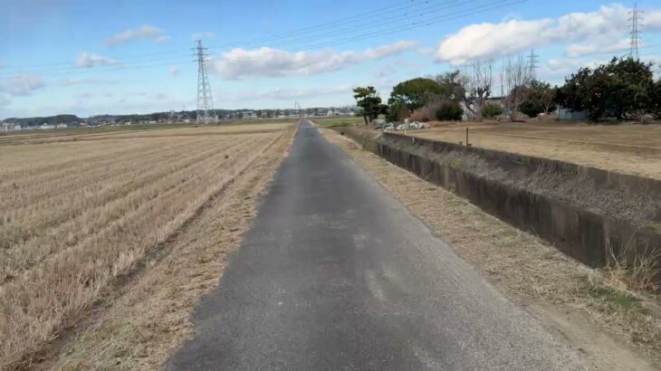 1型糖尿病ランナーの平日トレーニング【12.5km】