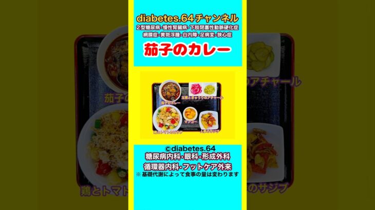 【茄子のカレー】 塩分は1日5g#2型糖尿病#CKD#ASO#狭心症#白内障#食事療法#自炊記録#提出用画像