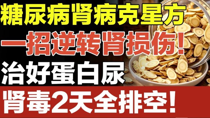 糖尿病肾病克星方，一招逆转肾损伤！治好蛋白尿，肾毒2天全排空！【养生妙招】#蛋白尿 #肾病